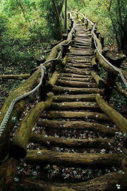 4月29号娄底:三联峒 冰泉大峡谷 龙脊峰 紫鹊界梯田二
