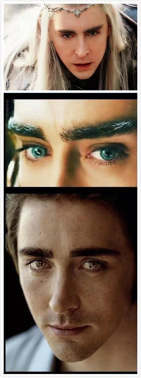 精灵王瑟兰迪尔的眼神啥也不说了,专门为了看这眼睛去看的霍比特~在