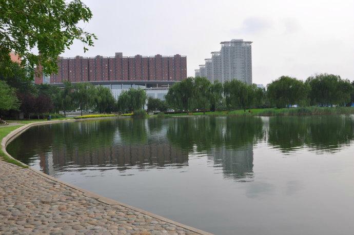 泰丰公园