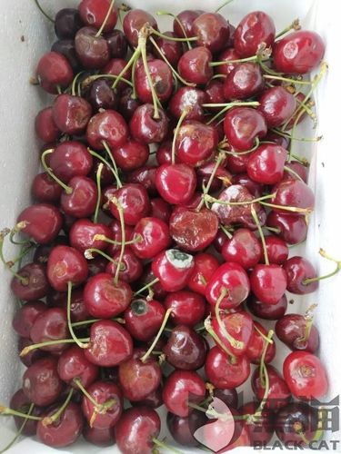 樱桃到了坏了与卖家沟通后说是快递超时造成