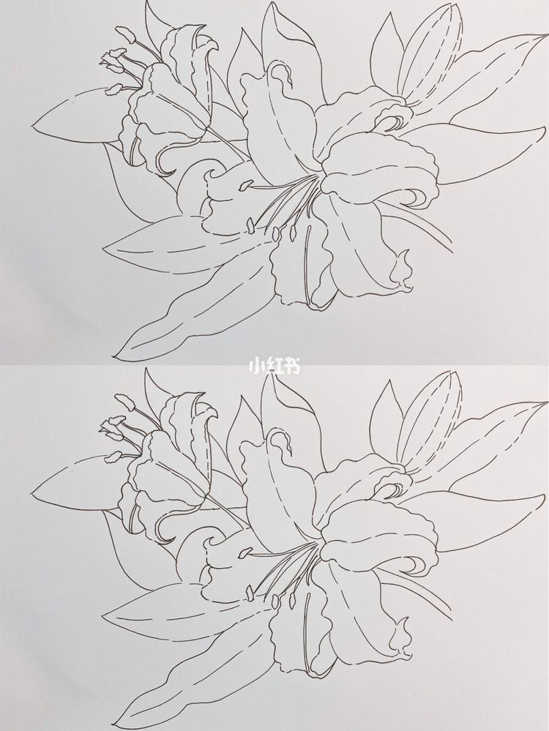 15百合花~_简笔画_马克笔_上色_铅笔画_搭配_简笔画教程_文化_绘画
