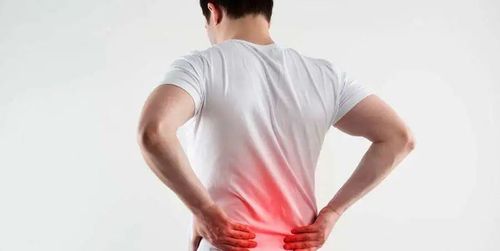 反复腰痛,究竟是腰椎间盘突出还是腰肌劳损呢?