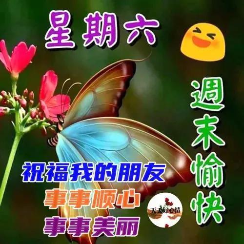 2021年5月8日星期六清晨早上好问候祝福图片 周六最新