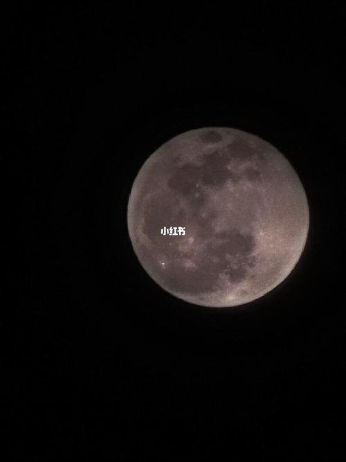 2021超级月亮_表白_风景_电视剧_疫情_自然风光分享_素材_文字素材