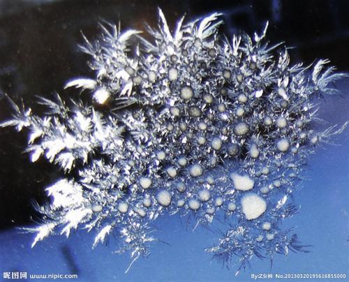 窗上冰花简笔画 简笔画图片大全-蒲城教育文学网