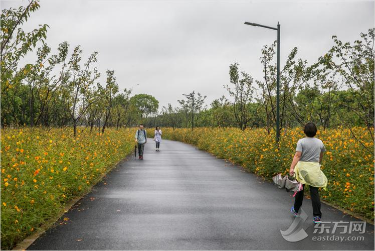 雨中迎来试开园 走进嘉北郊野公园