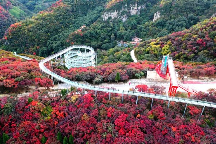 淄博新动力团建拓展带你走进红叶柿岩旅游区