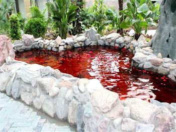 雁鸣湖凌云温泉门票_雁鸣湖凌云温泉门票多少钱_郑州