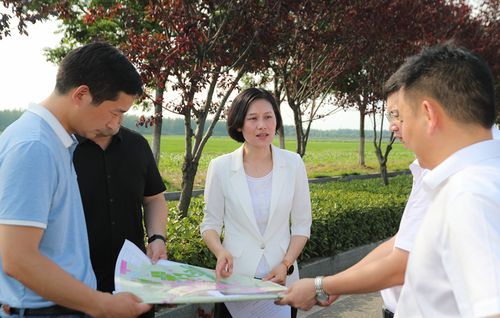 耿晓云调研教育工作 _ 泗洪要闻 _ 泗洪县人民政府