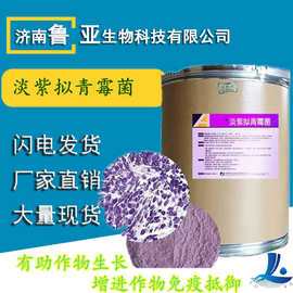 淡紫拟青霉抗重茬抗线虫抑制有害病菌生长全水溶淡紫拟青霉孢子粉