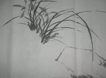 详细的兰花国画绘画步骤教程