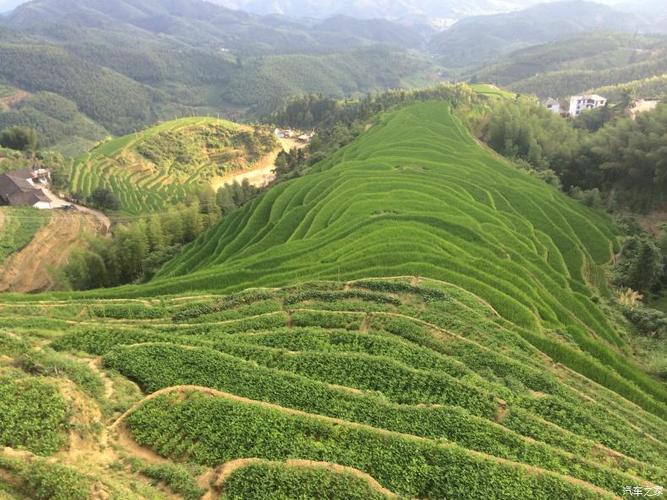 天然氧吧阳岭与上堡梯田