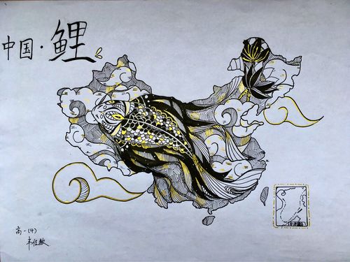 地理实践力培养之～南宁八中创意地图大赛活动记