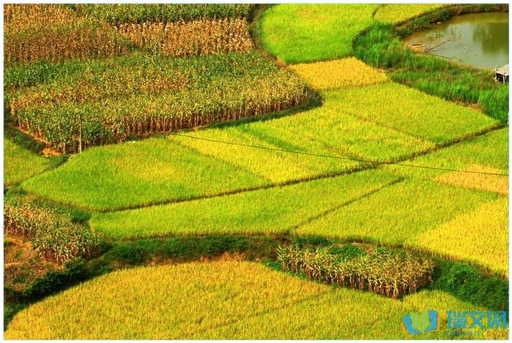 春华秋实,秋天,是庄稼成熟的时候,也是农民丰收的季节