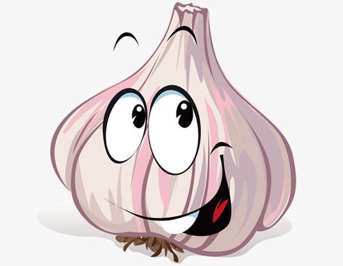 大蒜疯涨将近100倍, 价格贵过猪肉和鸡蛋, 真是"一蒜难 ""!