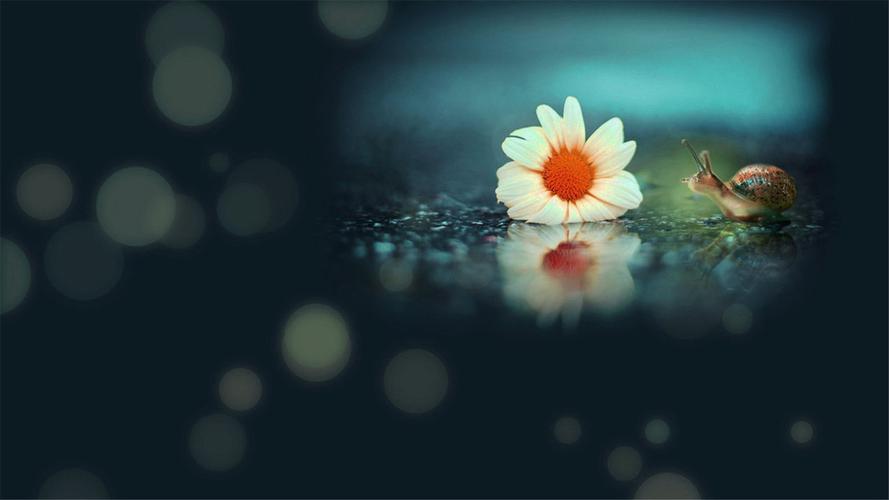 精选治愈系小清新唯美图片桌面好看的壁纸高清下载_[640x960]尺寸