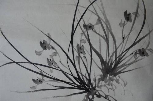 传统小写意花鸟画家刘超 墨兰图