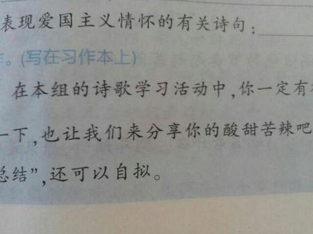 爱国主义情怀的有观诗句
