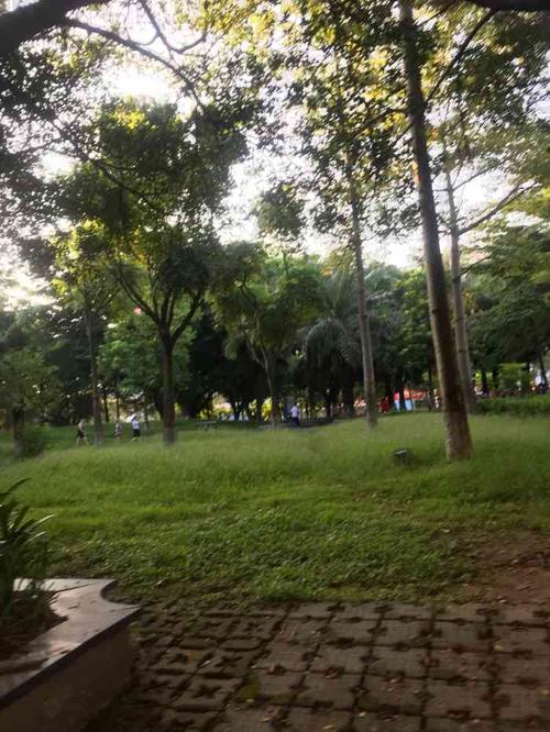 滨河公园-"最近东莞这边都在排队打疫苗,刚好也有时间