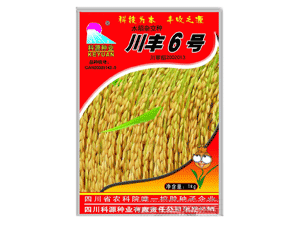 科源-川丰六号_水稻种_四川科源种业有限责任公司|好.