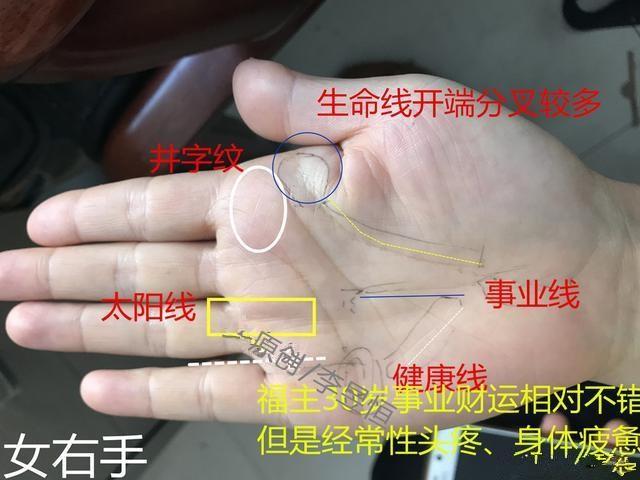 手相中这三宫高凸红润,财旺福大!