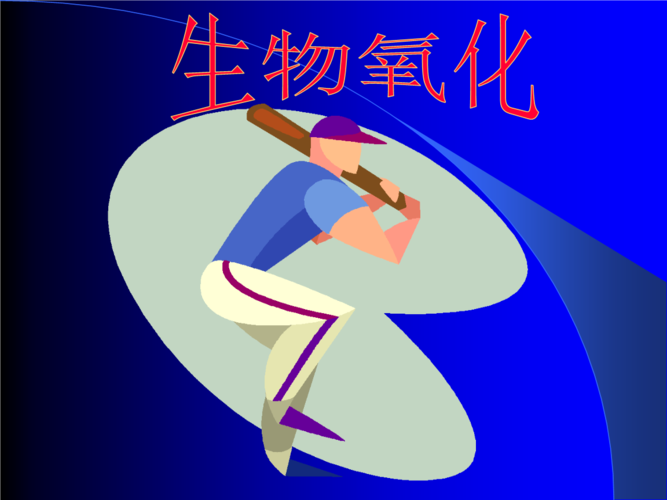 生物化学课件10生物氧化a.ppt