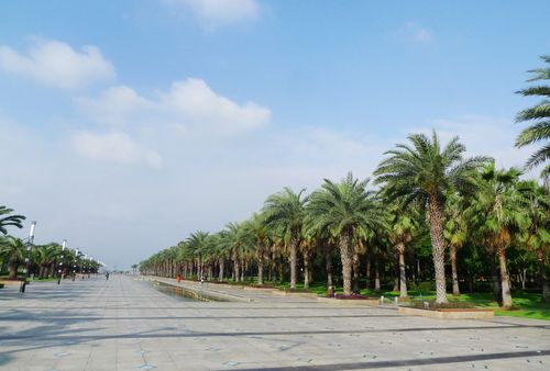 厦门海湾公园