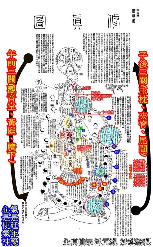 [转载]89何谓三关九窍,和修炼体内精气神有何关系(妙斌)