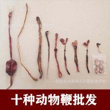 10鞭牛鞭羊鞭鞭片动物鞭十鞭男性养生持久滋补泡酒料锁阳人参批发