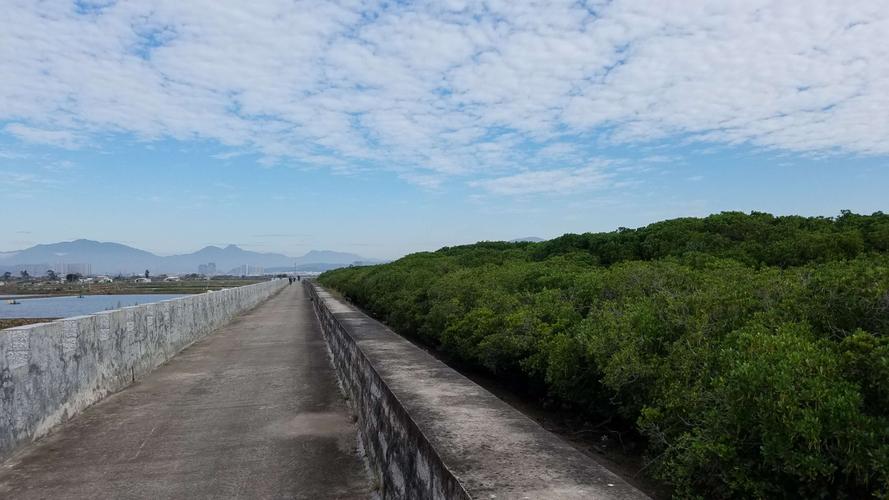 龙海紫泥岛红树林保护区
