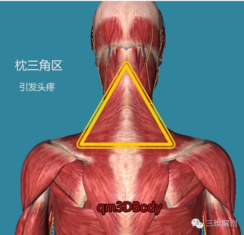 警惕!人体的8个危险三角区
