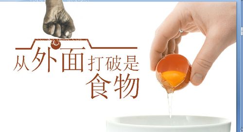 鸡蛋的启示励志ppt模板