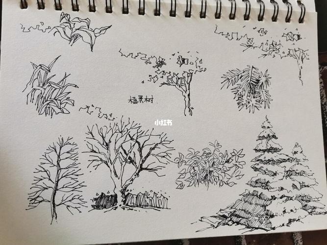 画的最多的应该就是树了吧_风景_风景速写_文化_绘画