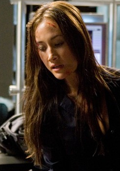 虎胆龙威4:虚拟危机