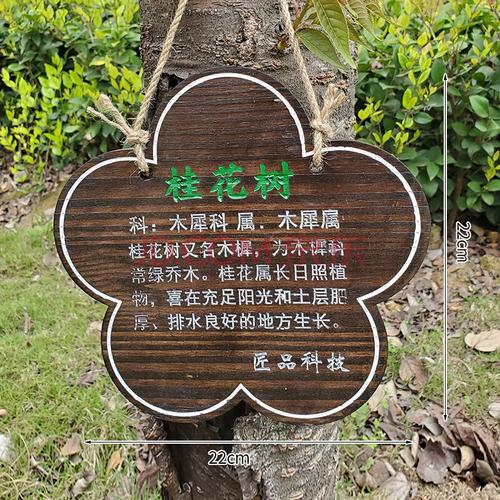 牌树牌花草牌定制爱护花草提示牌警示牌插地牌植物标识牌树木介绍牌