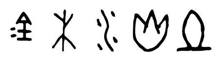 金木水火土的甲骨文怎么写