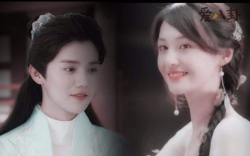 鹿晗说想和郑爽合作怎么回事鹿晗郑爽什么关系