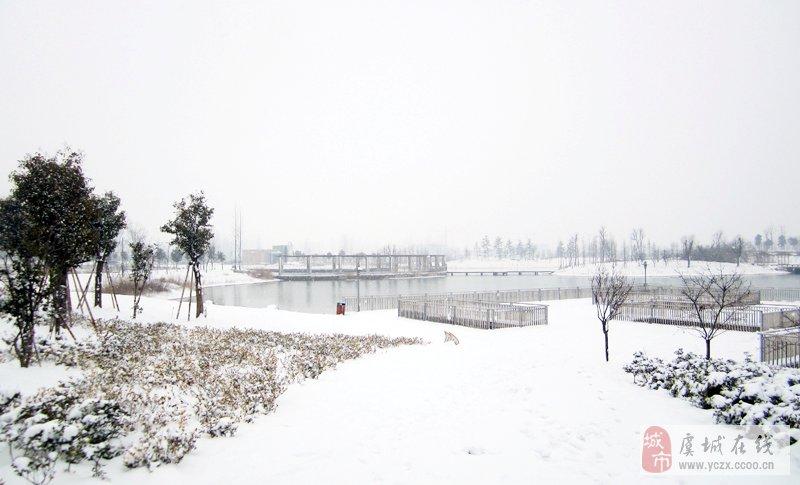 虞城县人民公园雪景图