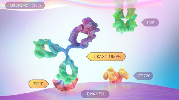 tigit靶点免疫疗法罗氏tiragolumab获突破性药物资格联合tecentriq