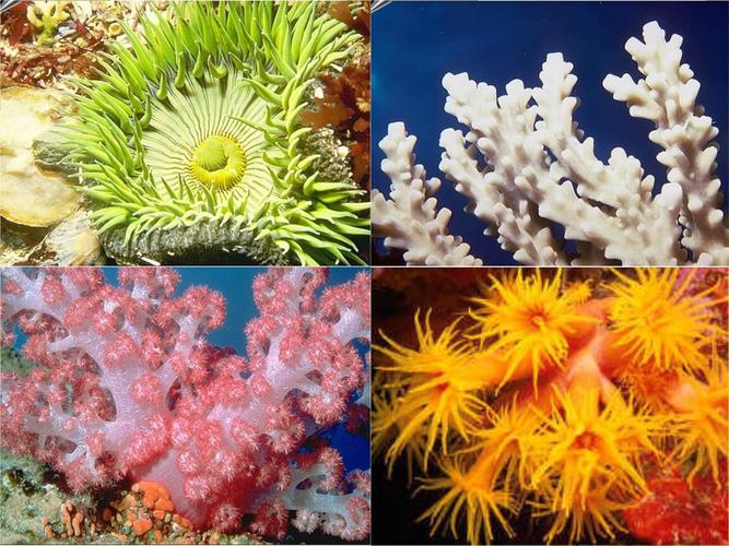 富饶的西沙群岛