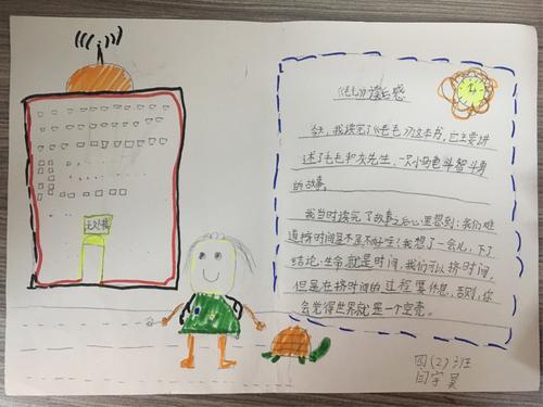 关于毛毛的书的手抄报 书的手抄报