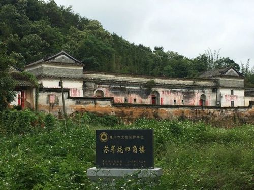 白花苏峰四角楼.
