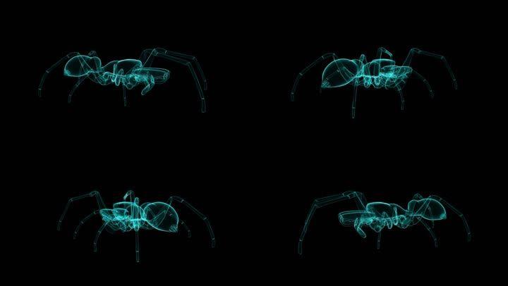 昆虫全息投影01_1920x1080_高清视频素材下载(编号:)