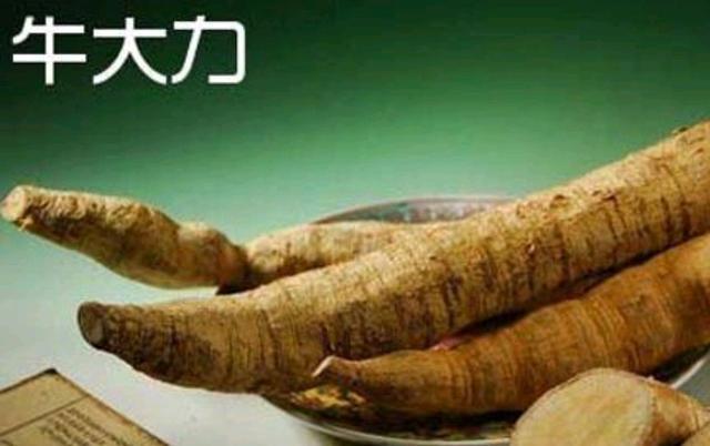 牛大力作为中药的功效