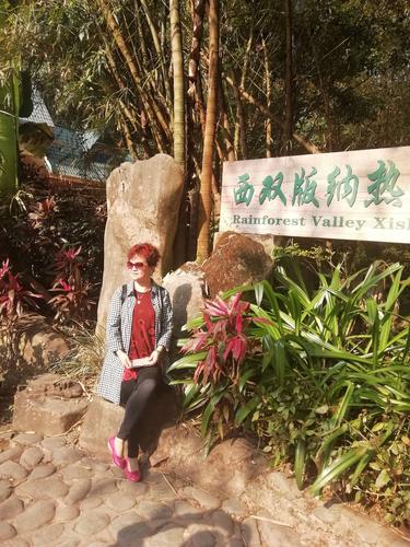 二o一九年三月三日三对老朋友老夫妻前往云南西双版纳快乐之旅