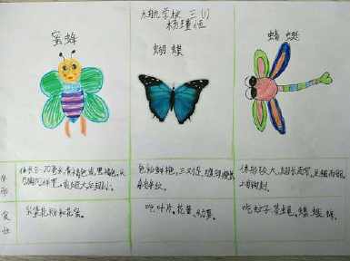 蝴蝶昆虫备忘录手抄报昆虫记手抄报