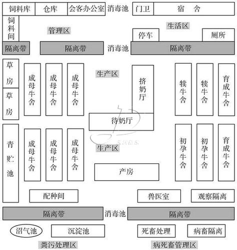 奶牛场平面布局