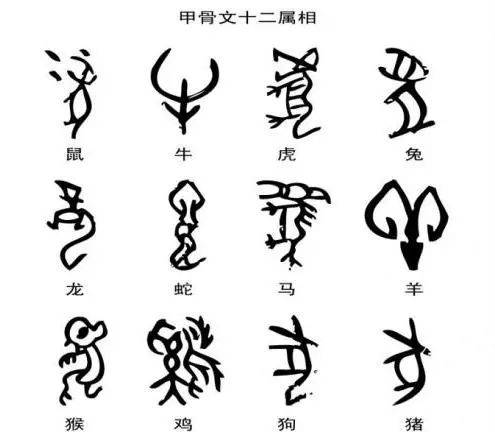 从甲骨文到楷书的过程手抄报 书的手抄报