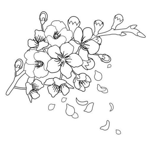 樱花怎么画简笔画又漂亮