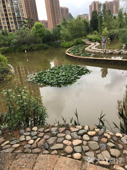 富民湿地公园-景点图片-富民县周边游-大众点评网